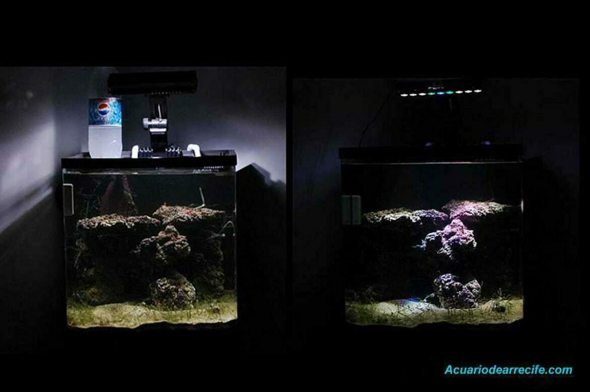 LED vs Metal Halide