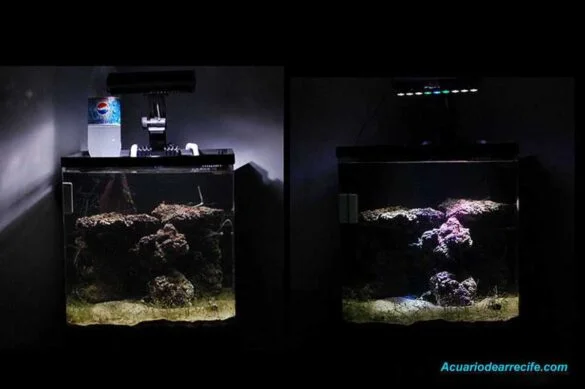 LED vs Metal Halide