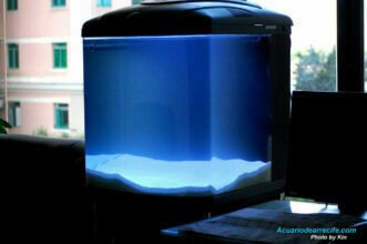 iluminación original del acuario chino boyu TL-550