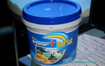 Mezcla de sal marina para la preparación del agua salada