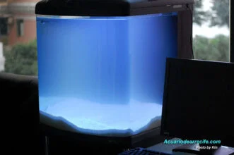 Puesta de arena de aragonite y mezcla de sal en el acuario