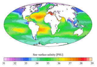 Densidad o salinidad promedia en la superficie de los océanos