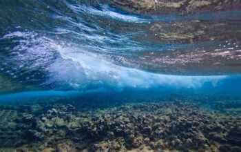 Turbulencia bajo la cresta del arrecife