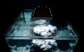 Acuario Elos con tope abierto