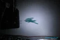 Paso 3:5 - Cortar 8 trozos de cable verde de 2.5cm