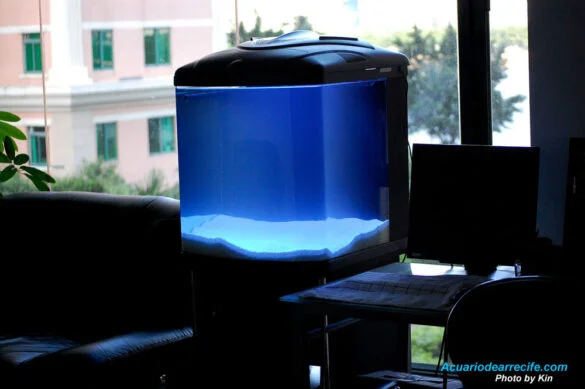 Iluminación original del acuario chino de la marca boyu